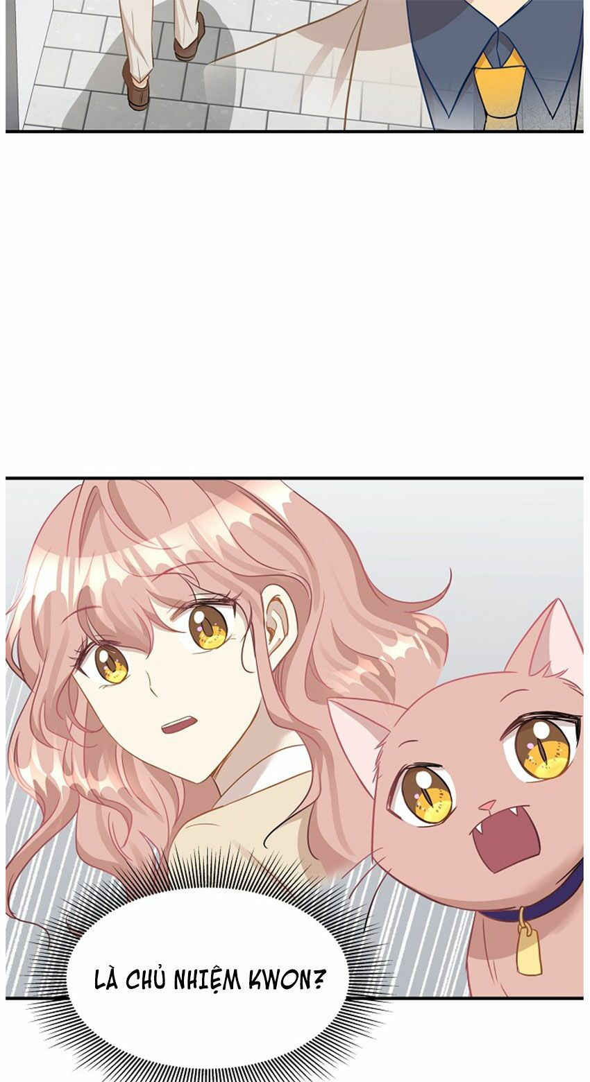 cuộc sống kỳ thú chapter 20 42
