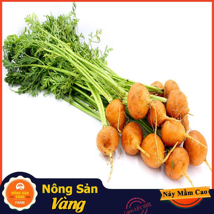 Hạt giống Cà Rốt Củ Tròn - Nông Sản Vàng