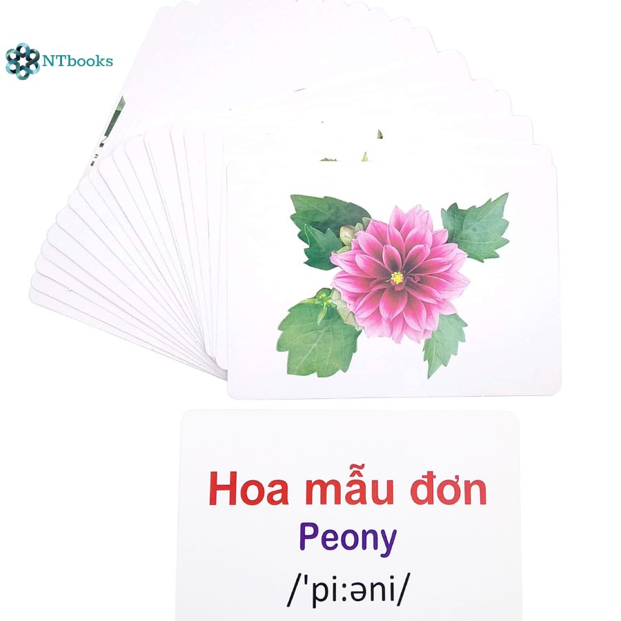 Sách Flash Card Glenn Doman - Thế Giới Quanh Em - Các Loài Hoa