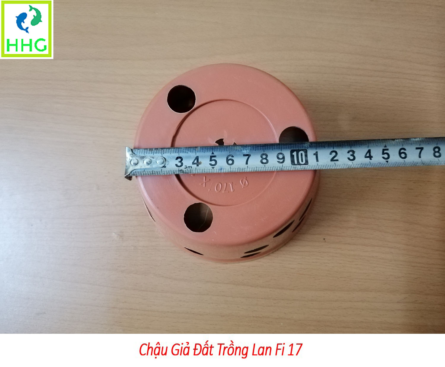 20 chậu giả đất trồng lan Fi 17 - đường kính 17cm