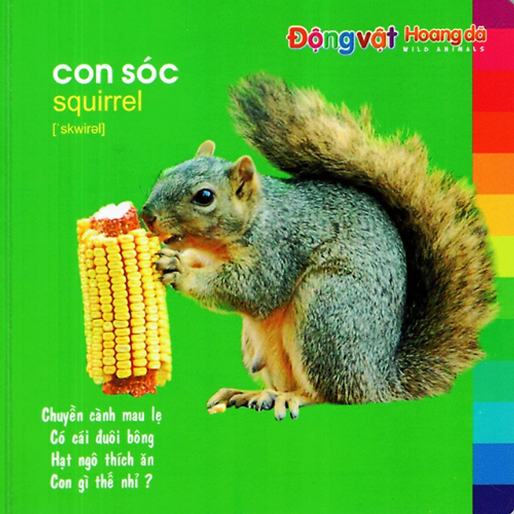 Sách Bé khám phá Môi Trường Xung Quanh