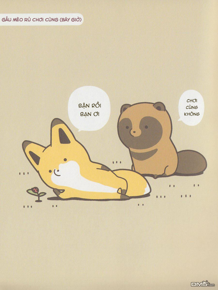 cáo và gấu mèo chapter 1 10