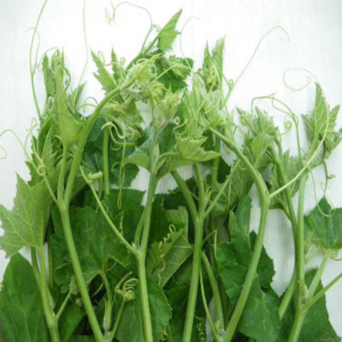 HẠT GIỐNG BÍ NGỌN cao sản