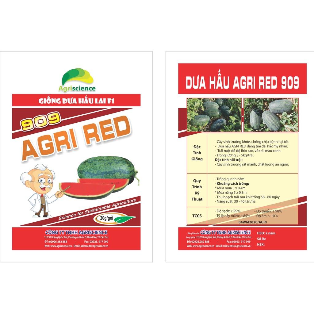 Hạt Giống Dưa Hấu Hắc Mỹ Nhân - Agri RED 909 -