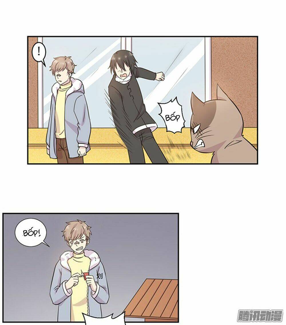 hai chú mèo totem chapter 22 15