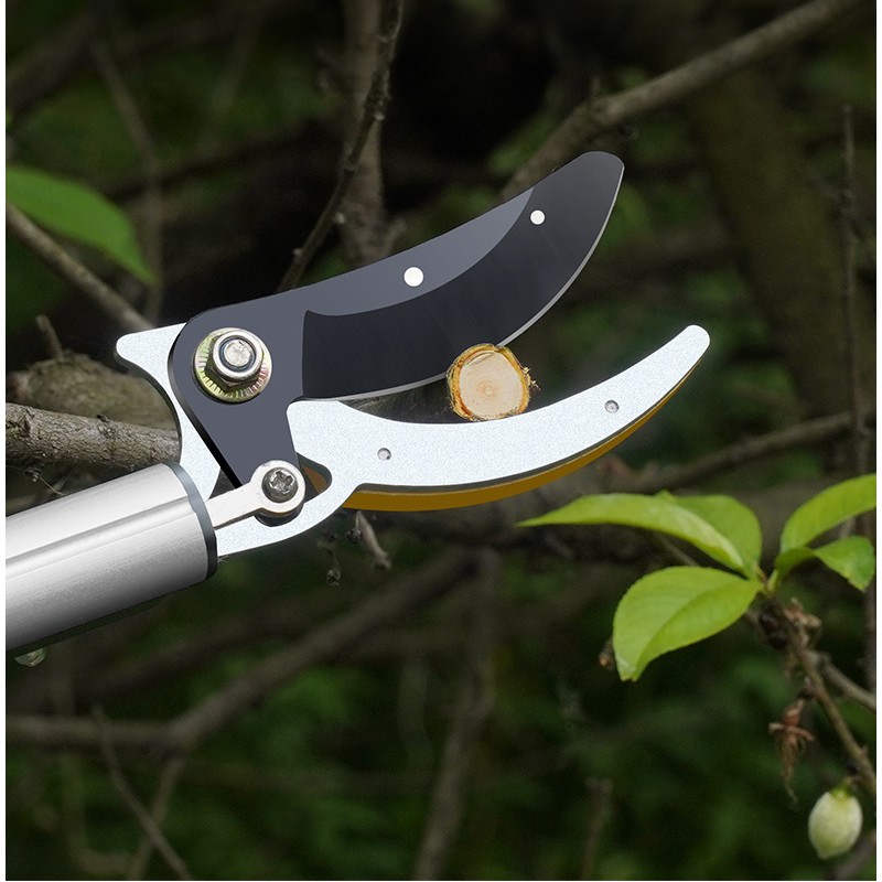 Kéo Cắt tỉa Cành Hái Trái Trên Cao 3m 3 đoạn Đài Loan cực chắc chắn