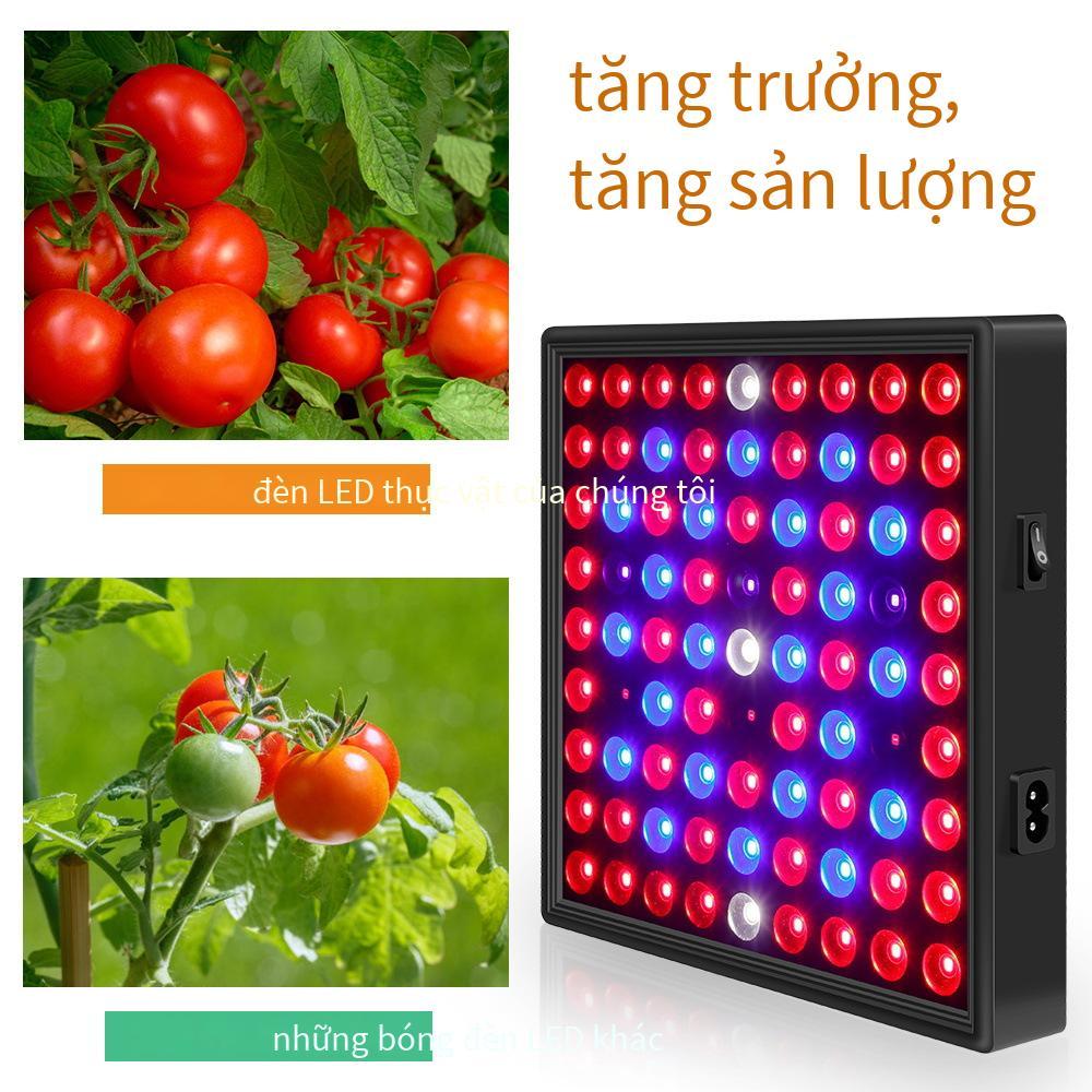 Phong cách mới nhất bảng lượng tử 50W đèn thực vật màu đỏ và màu xanh LED toàn phổ cho hồ cá lấp đầy ánh sáng trồng cây 30W trong nhà đèn tăng trưởng thực vật