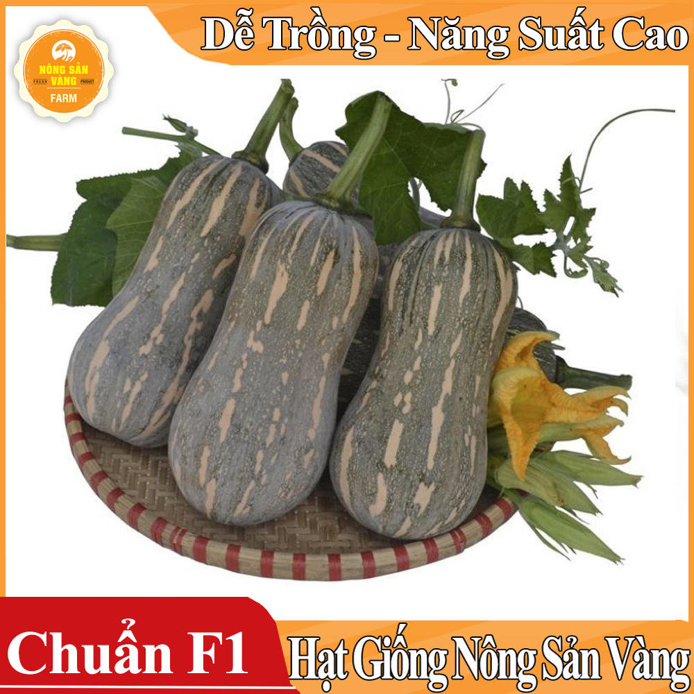 Hạt giống Bí Đỏ Hồ Lô - Nông Sản Vàng