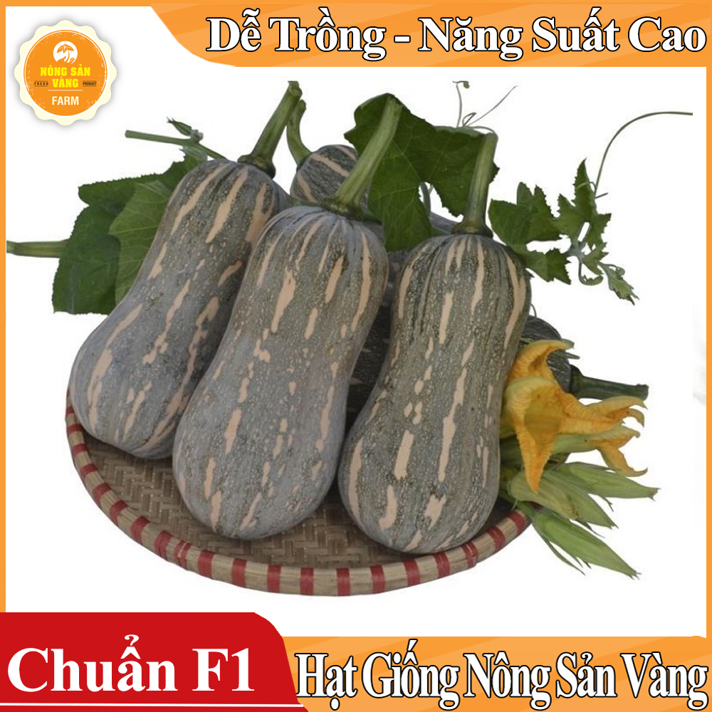 Hạt giống Bí Đỏ Hồ Lô ( Gói 10 Hạt ) - Nông Sản Vàng