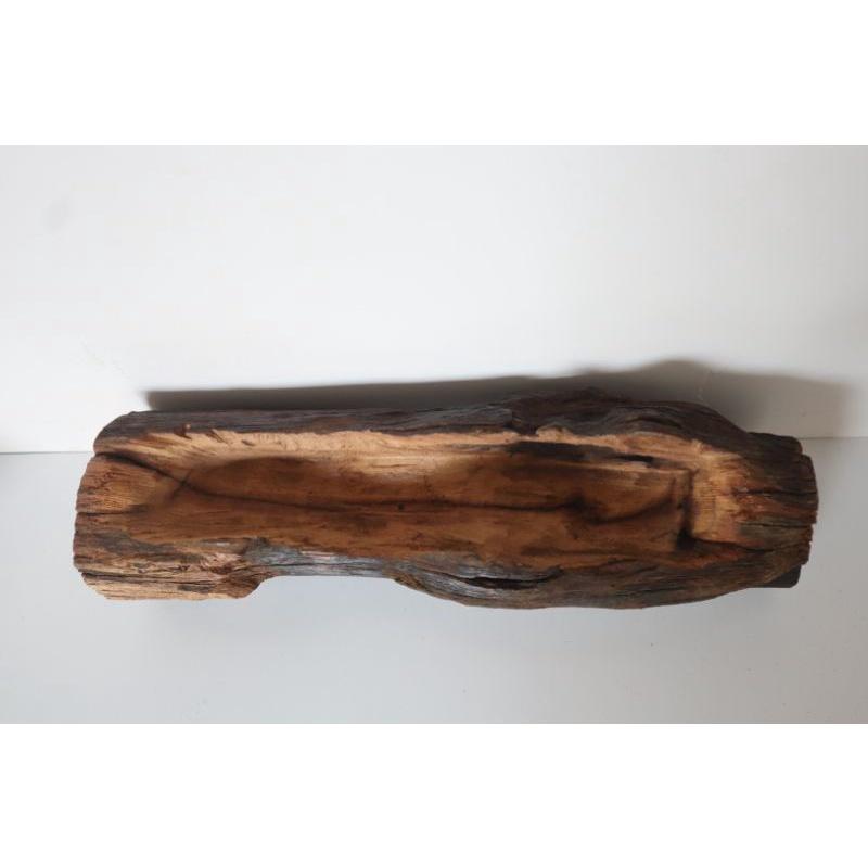 Chậu gỗ lũa lõi cây siêu bền