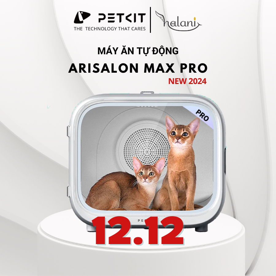 Máy sấy Airsalon Max