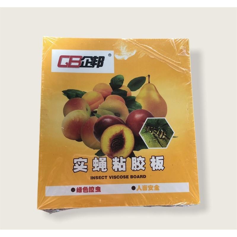 Miếng dán siêu dính ruồi vàng- Bẫy ruồi vàng và các loại côn trùng gây hại cho hoa lan, hoa màu, cây ăn trái