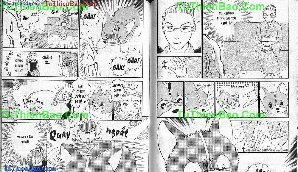 chó con mo mo chapter 1 45