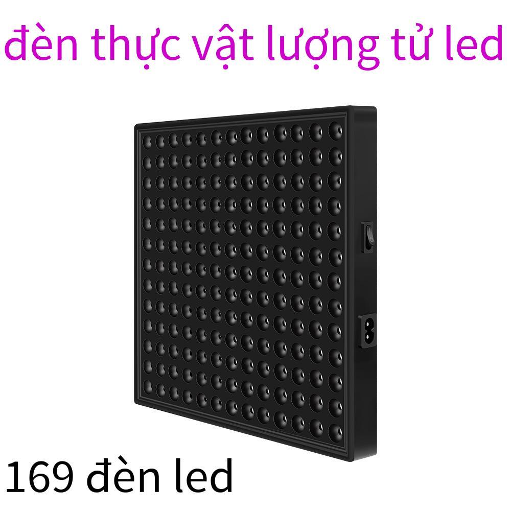 Bảng lượng tử 50W giá thấp nhất Đèn thực vật màu đỏ và xanh dương LED toàn phổ cho bể cá lấp đầy ánh sáng trồng cây 30W trong nhà Đèn tăng trưởng thực vật trong nhà