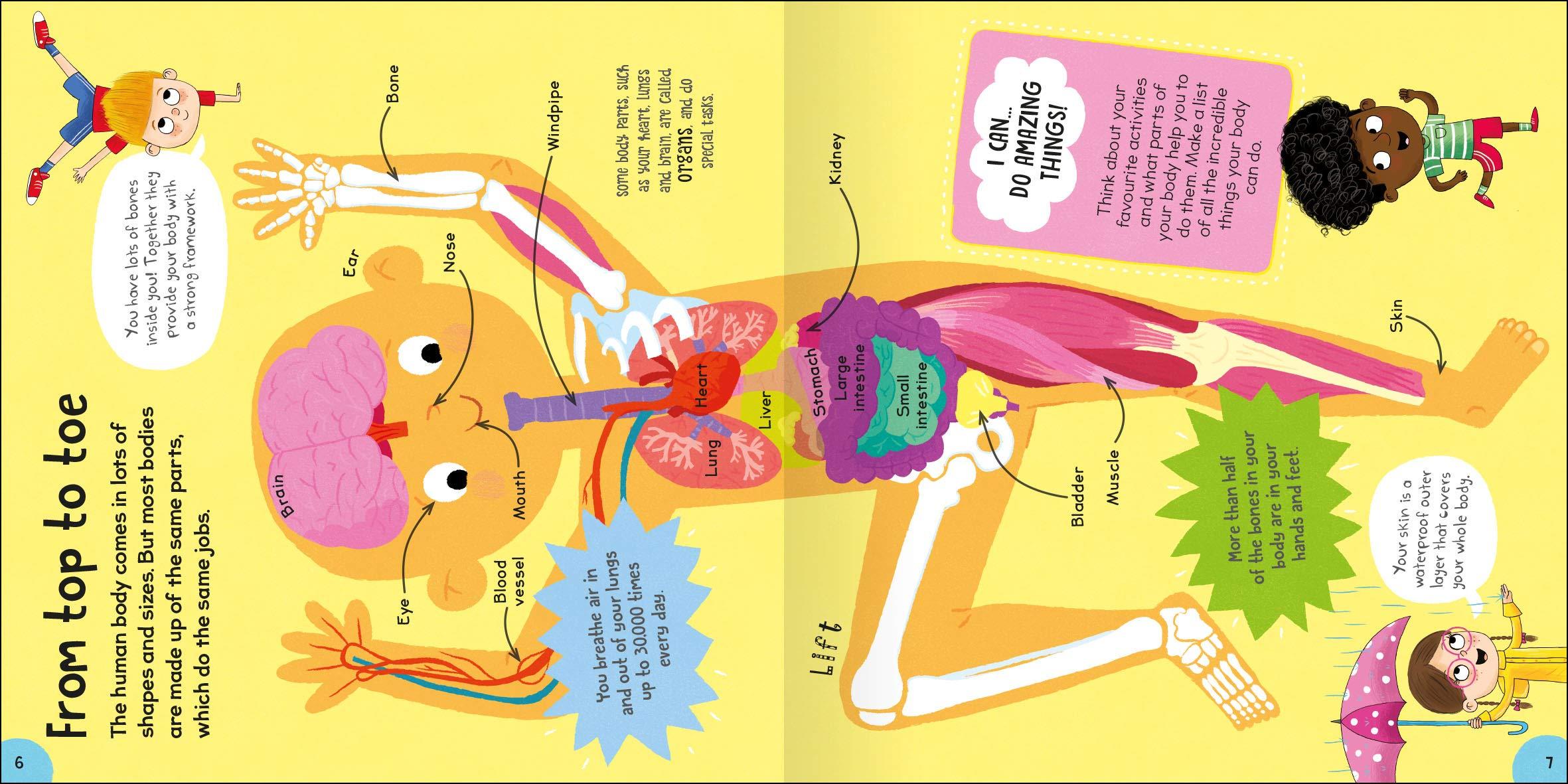 First Body Book-Set off on a Head-to-Toe Adventure through the Human Body-Includes over 20 Anatomical Diagrams and a Colorful Body Systems Wall Poster - Sách về cơ thể đầu tiên