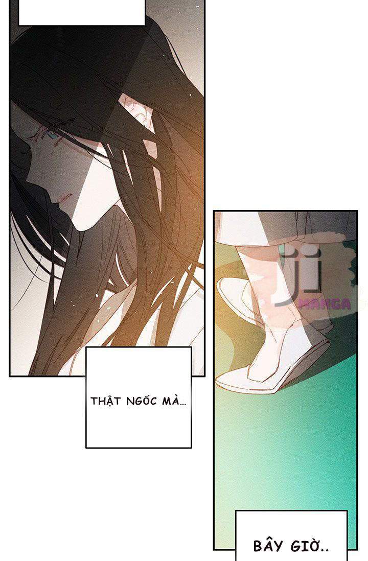 cứ giấu em trai tôi trước đi đã chapter 13 20