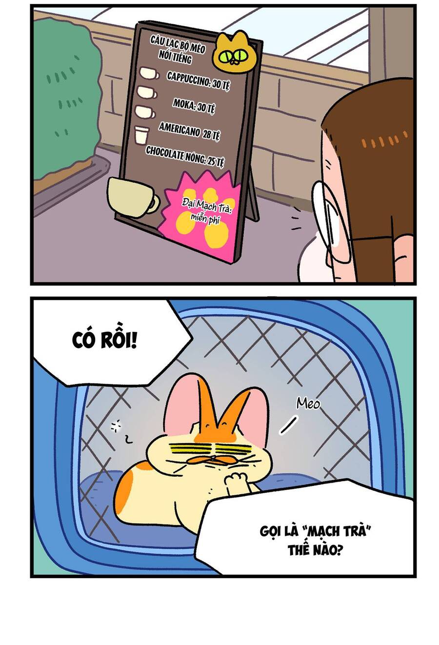 a mãn và mạch trà chapter 142.1 6