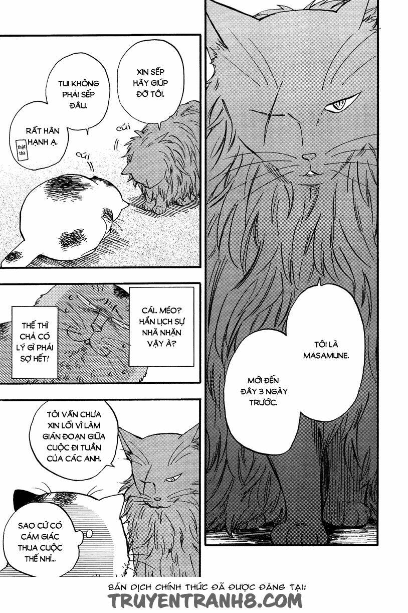 tui là busamen! chapter 5 8