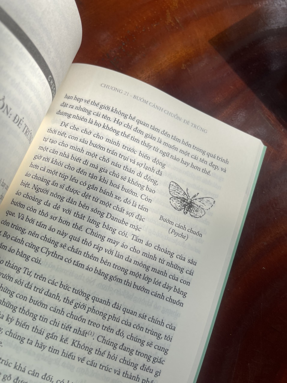 CÔN TRÙNG KÝ – Tập 7 - Jean-Henri Fabre - An Lạc Group dịch – Huy Hoàng Bookstore – bìa mềm