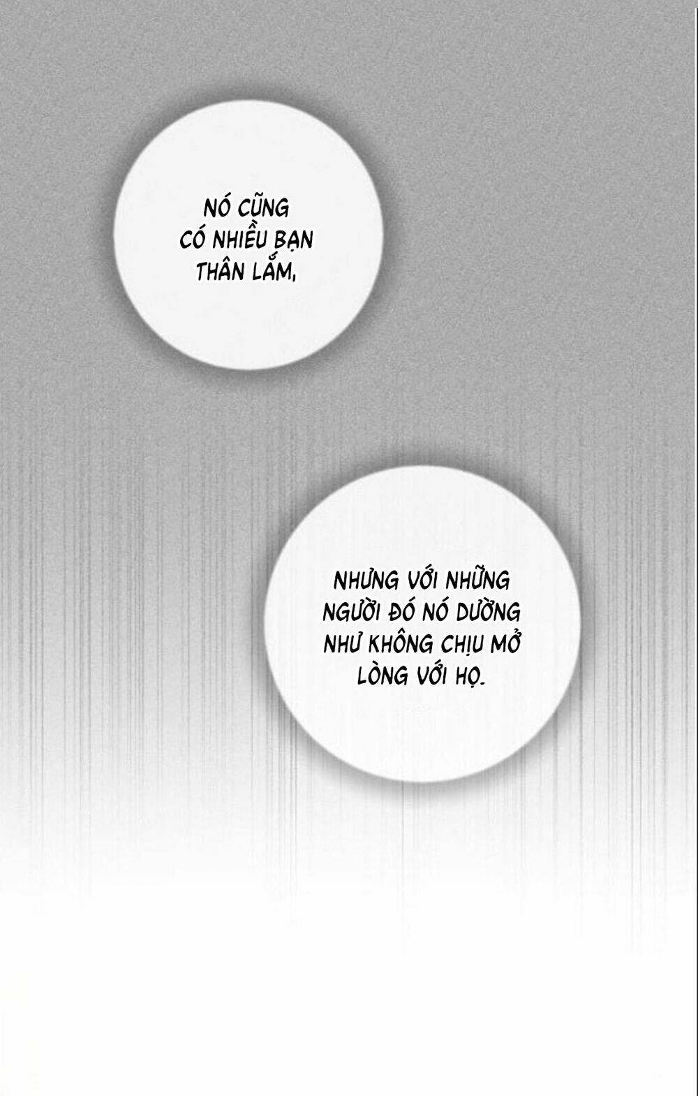 nhất định chúng ta sẽ được hạnh phúc chapter 19 21