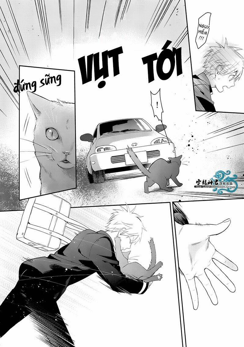 knb doujinshi - akashi-sama báo ân chapter 0 6