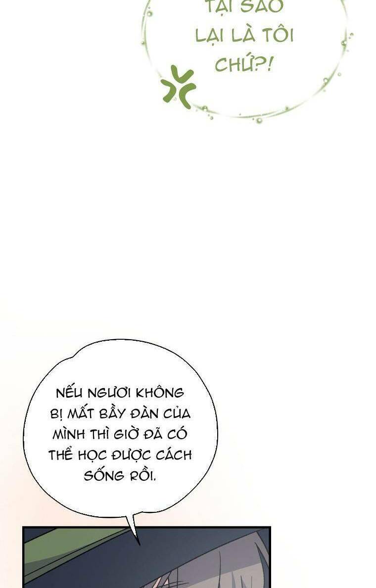 nhà hiền triết yigret chapter 81 42