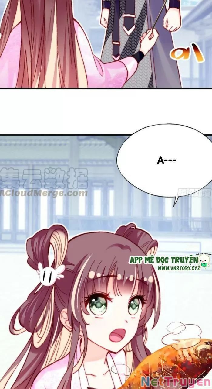 lại bị bệnh chiều chuộng quấn lấy chapter 33 49