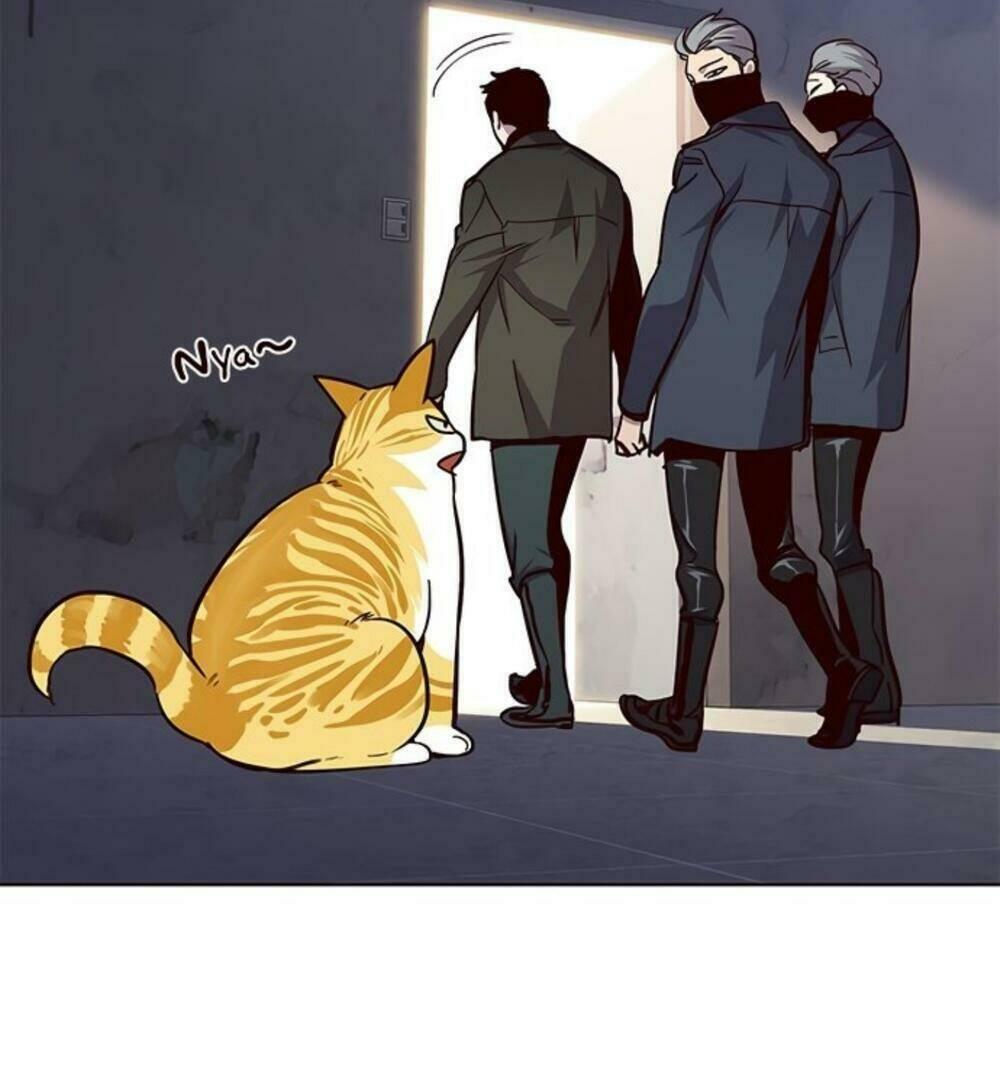 biến thân thành mèo chapter 19 100