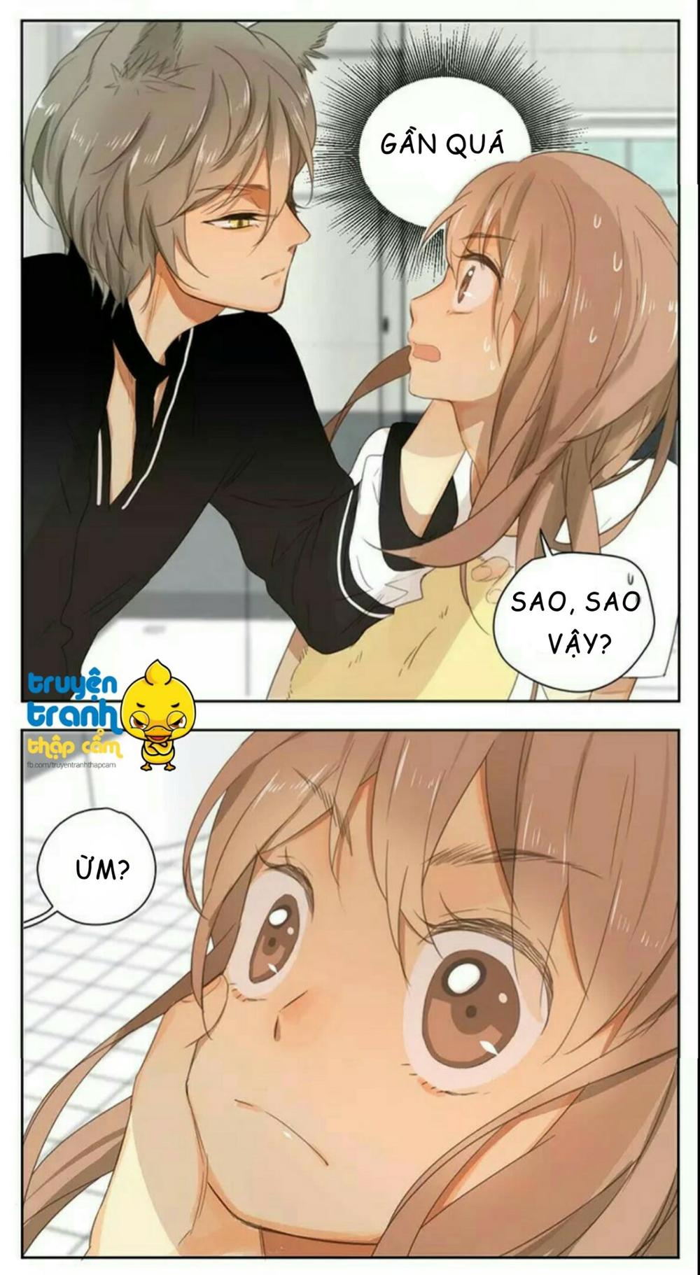 cứu mạng ! loài mèo thống trị thế giới rồi ! chapter 36 22