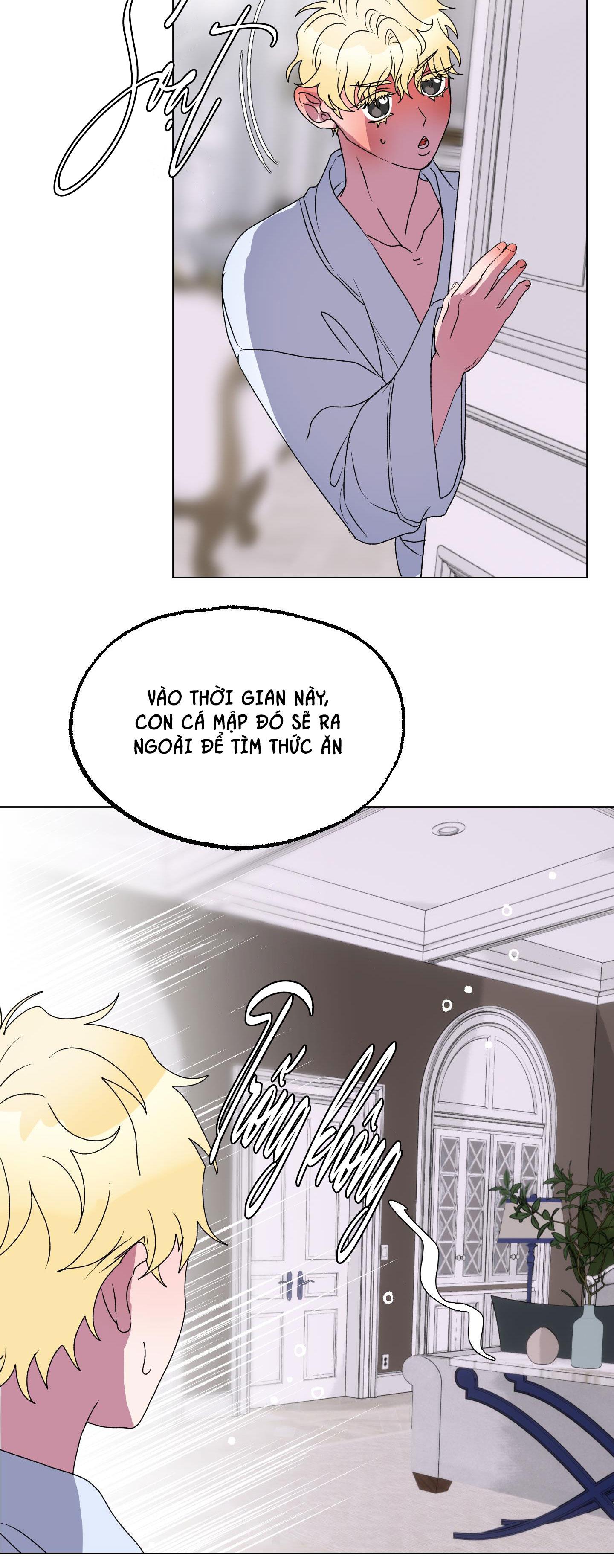 cá mập và cô dâu thỏ chapter 13 30