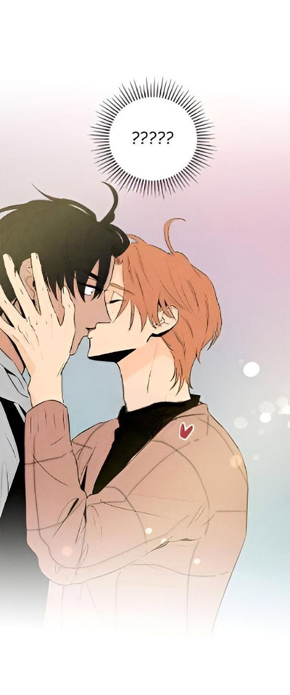 bona sort chapter 22 43