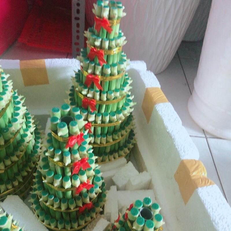 Trúc Phát Tài Kèm Dĩa