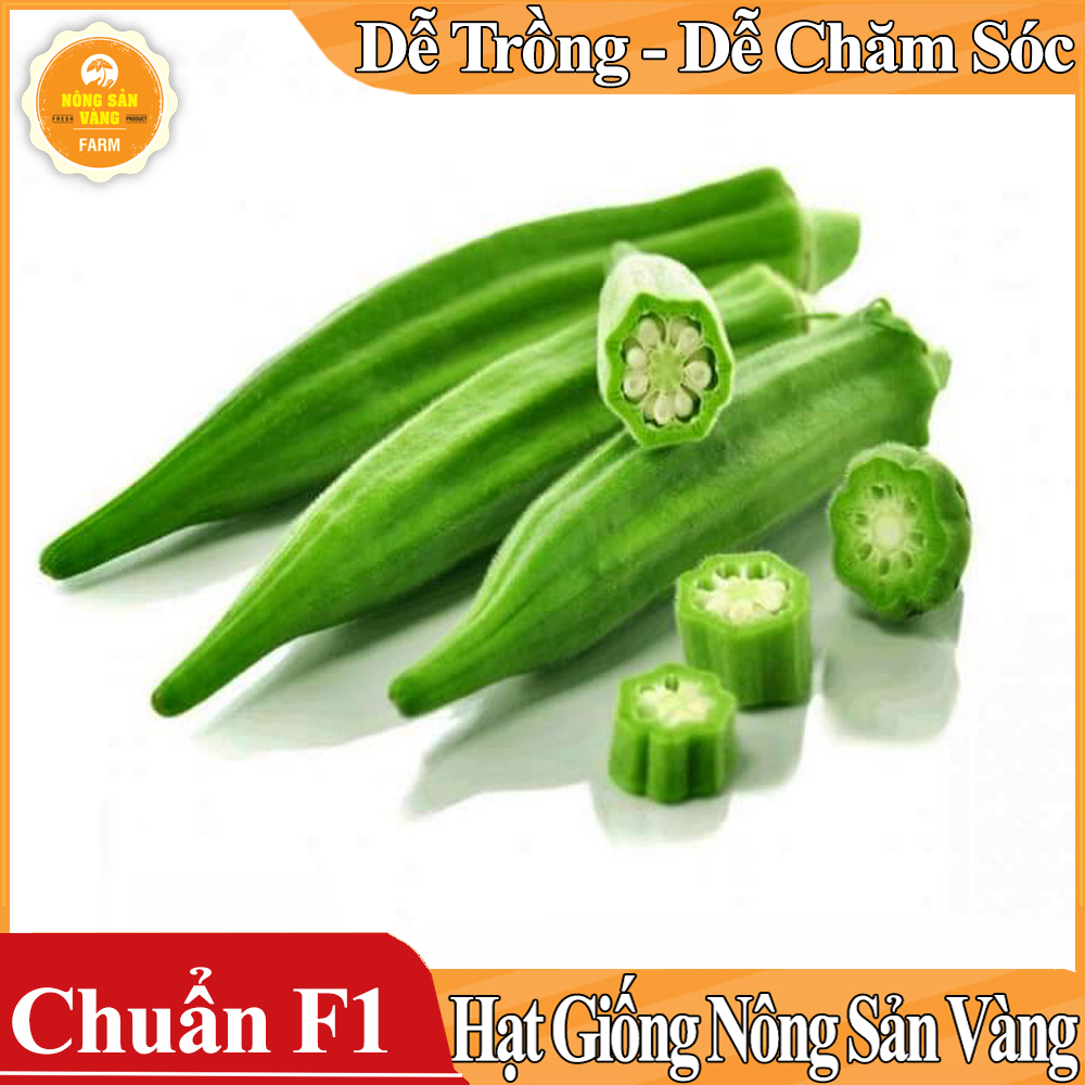 Hạt giống Đậu Bắp Cao Sản