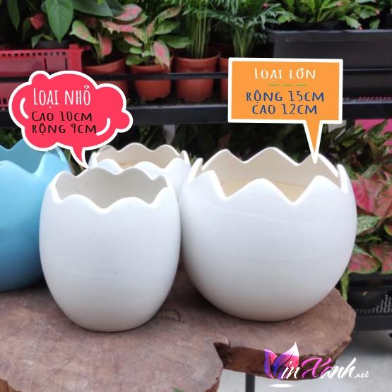Chậu sứ trồng cây cảnh mini để bàn 9-13cm hình quả trứng/ chậu trứng