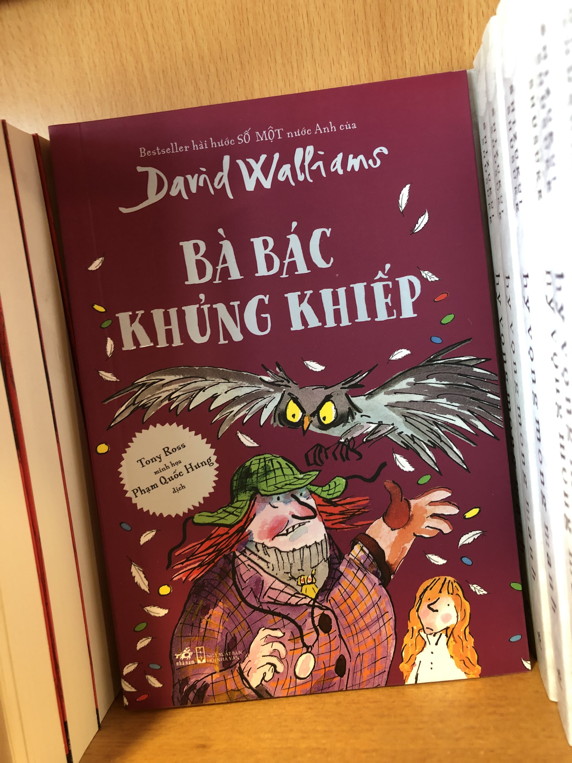 BÀ BÁC KHỦNG KHIẾP - DAVID WALLIAMS