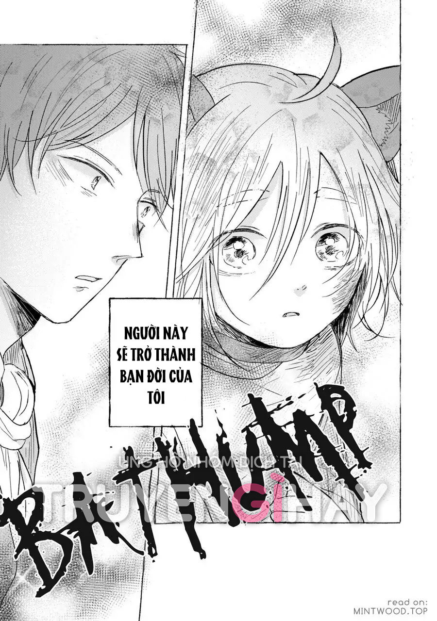 neko mimi omegaverse chapter 6.1 9