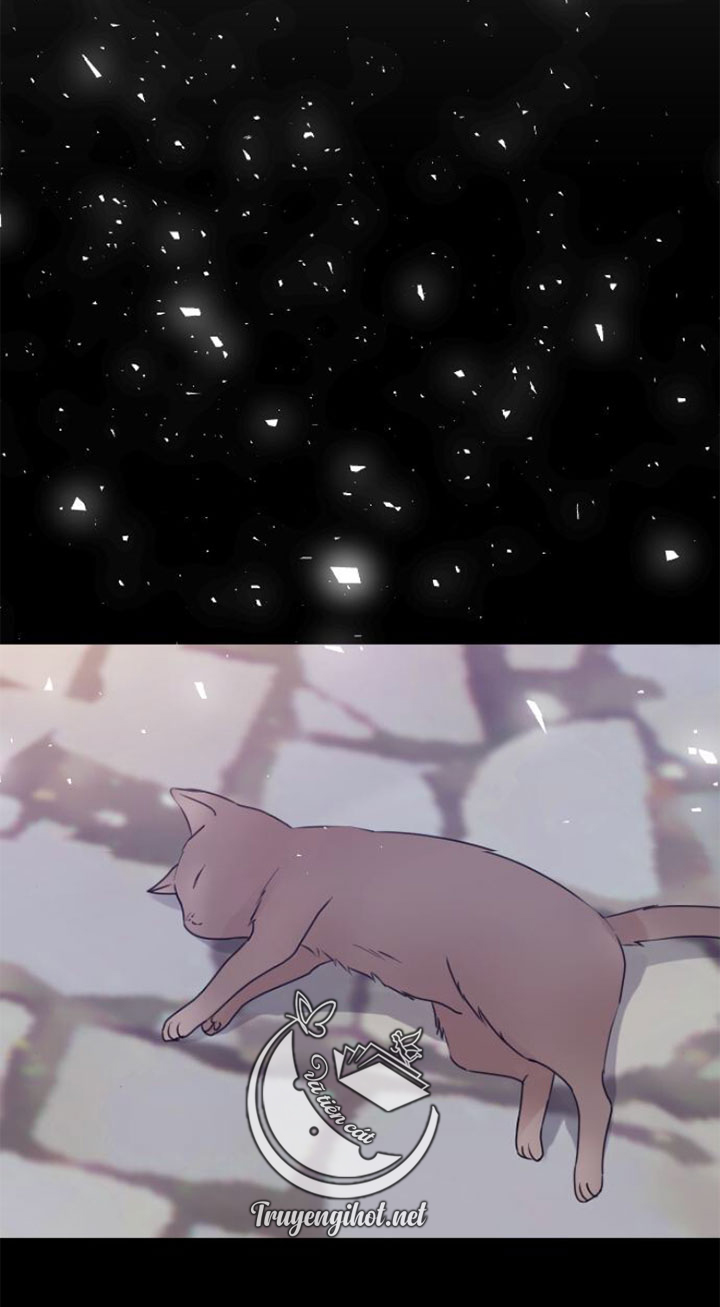 thánh nữ ẩn mình chapter 11.2 16