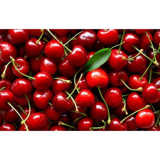 Cây giống Cherry Anh Đào MỸ THẾ HỆ MỚI.