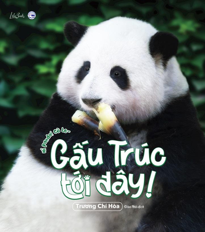Sách - Gấu Trúc Tới Đây! - Hi Panda! Cò Le~ - Tặng Kèm 1 Khung Ảnh + 4 Postcard Hai Mặt + 1 Sticker Gia Tộc Gấu Trúc