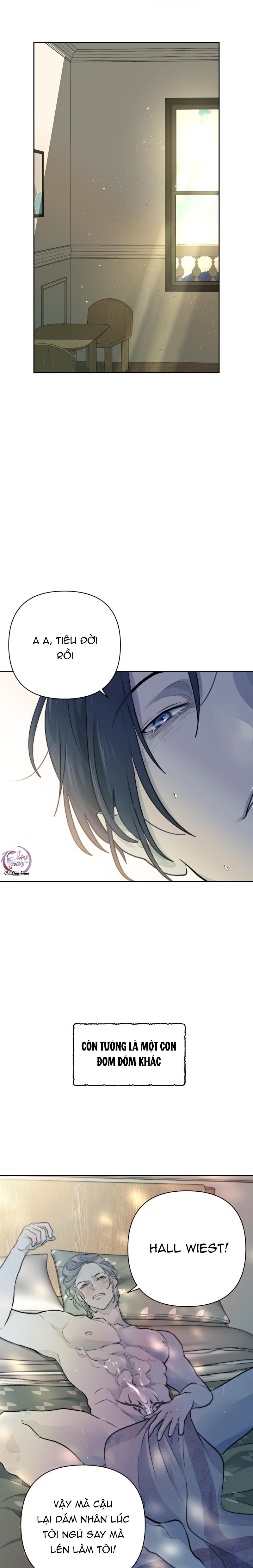 bao nuôi tiền bối chapter 39 16