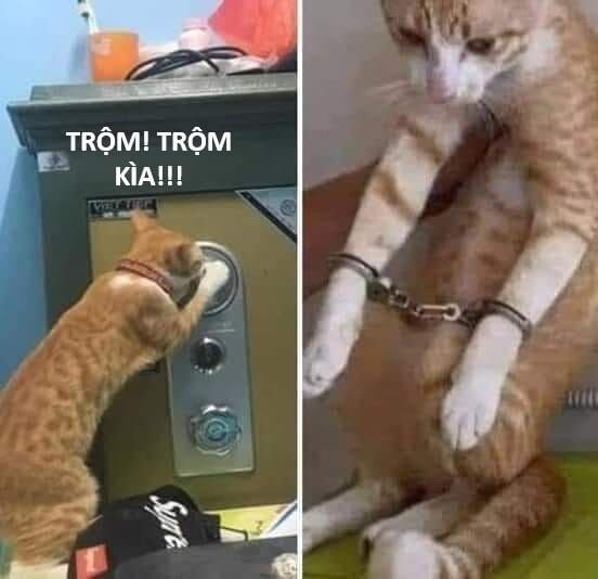 sự lụi tàn của usuzumi chapter 123 55