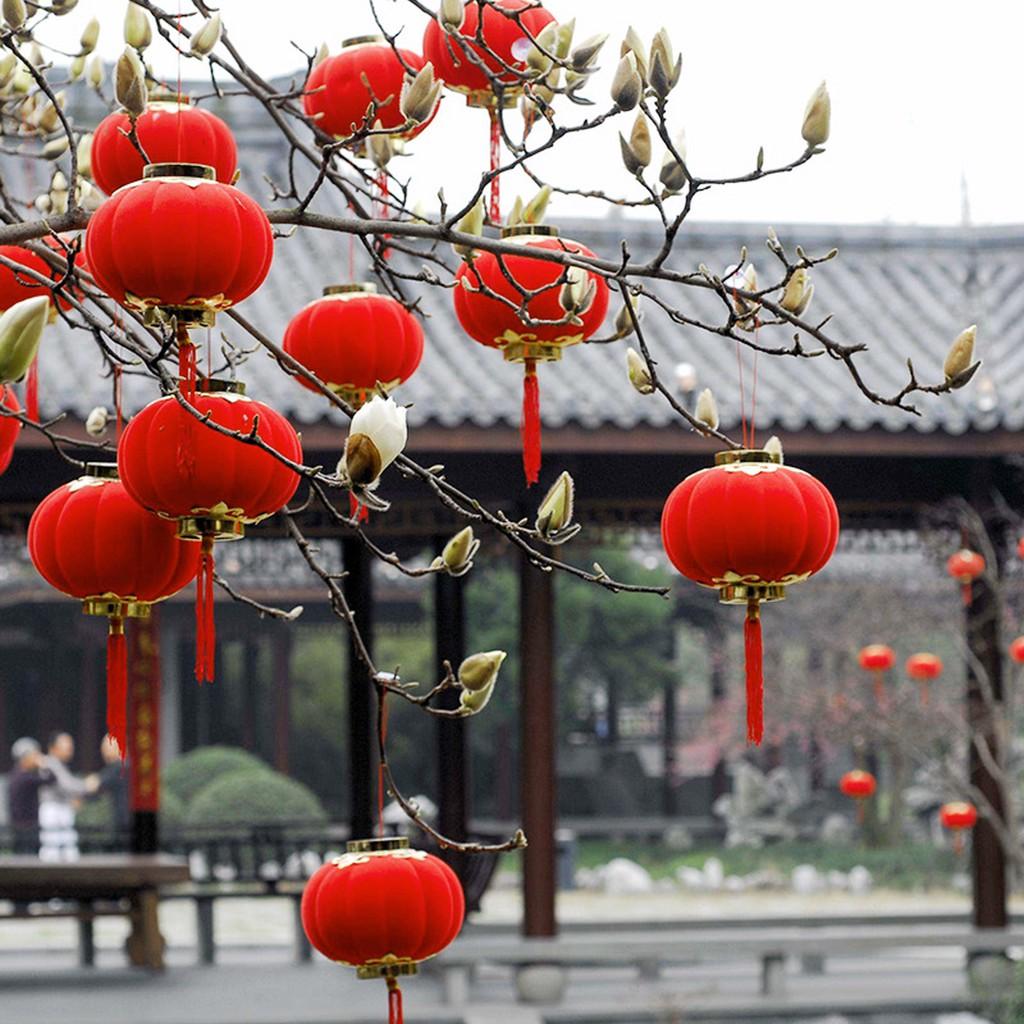 Lồng Đèn Trang Trí Cây Cảnh Ngày Tết