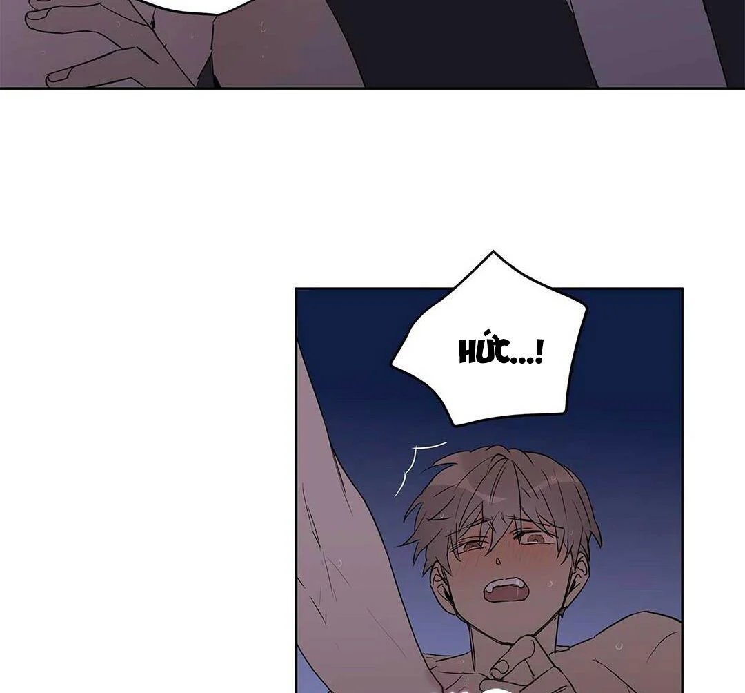 guide cấp b chapter 21 113