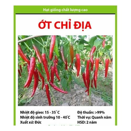 Hạt giống Ớt Chỉ Địa – 0.5gram