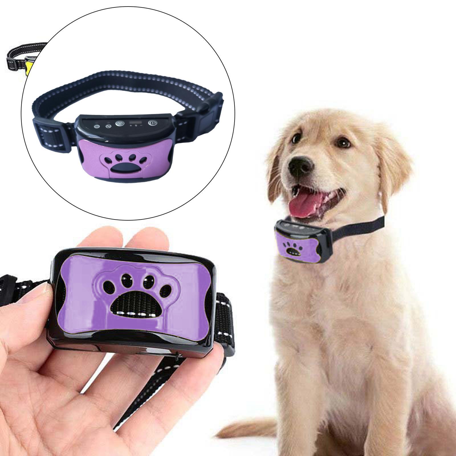 Collar for Dogs Sensitivity Stop for All Dogs