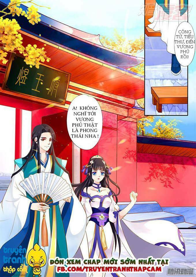 phi thường vô lương chapter 2 11