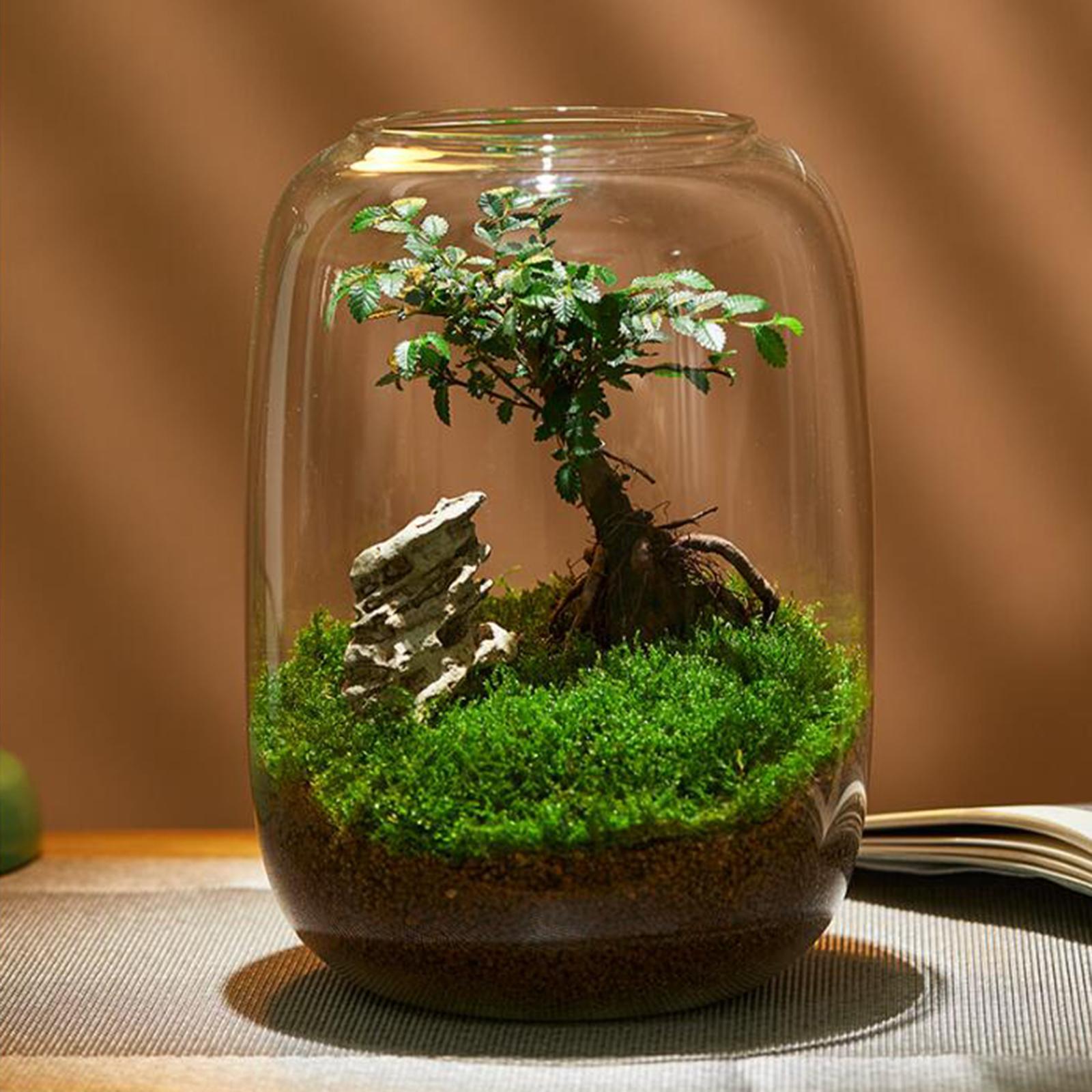 Vase Glass Glass Empty Bottle for Home Office Ornament