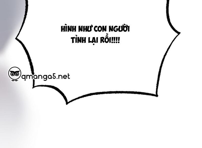 những chú thỏ của hapypy chapter 64.5 156