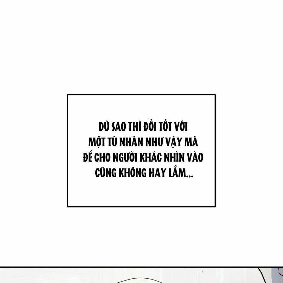 lời nói dối vĩnh cửu của người chapter 15 42