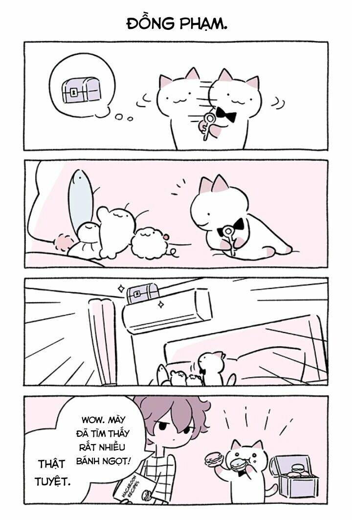 chú mèo kỳ diệu kyuu-chan chapter 673 3